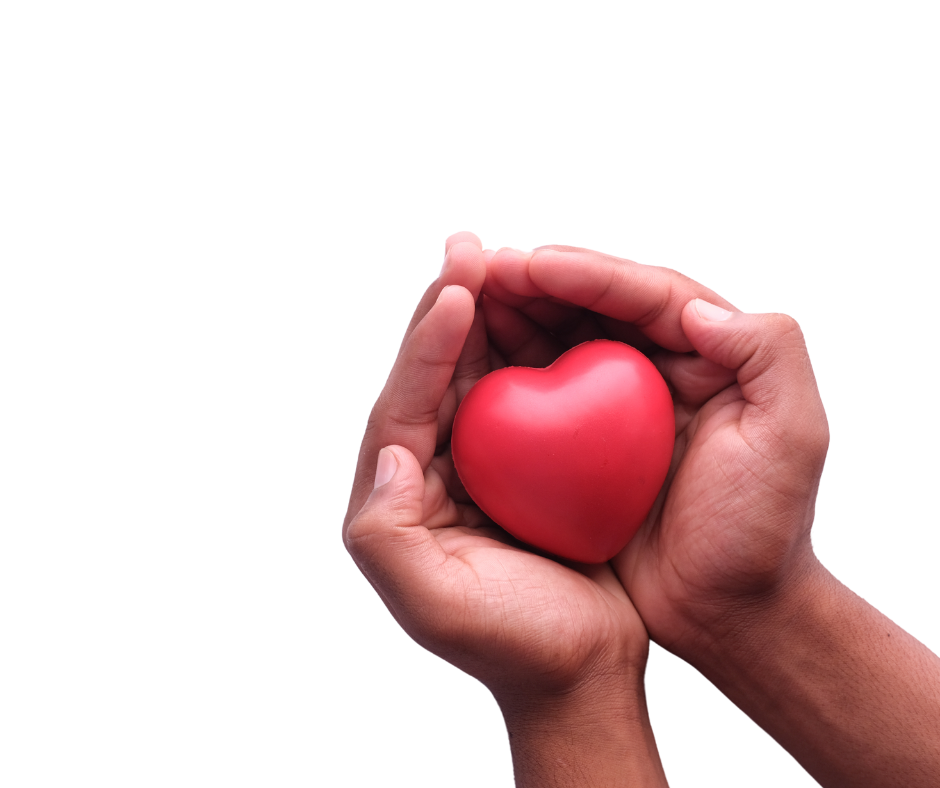 hands cupping a red heart shape