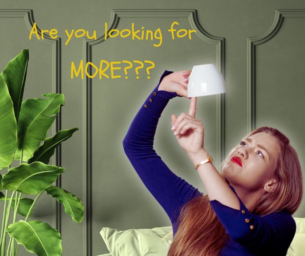 Are you looking for MORE