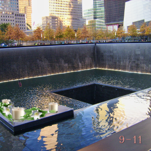 911 never forget peace lilies Sept 11th